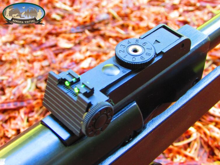 Rifle Nitro pistón ap-1000 Black 5.5 mm